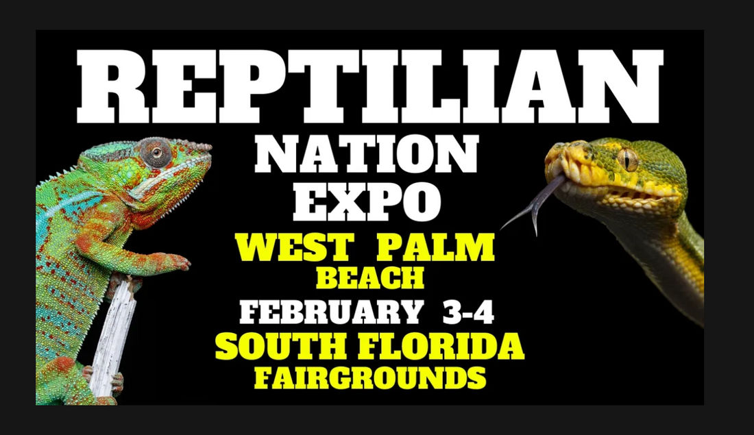 Reptilian Nation Expo