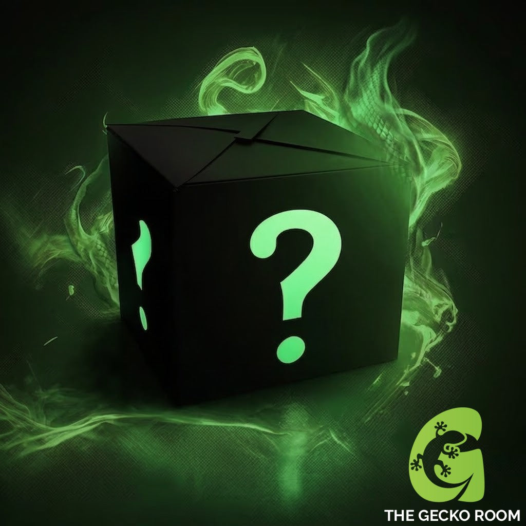 Crested Gecko Mystery Box